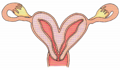 Antepartum Care NCLEX Questions with Rationale 1