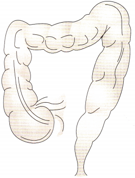 Child with Gastrointestinal Tract Health Problems NCLEX Questions with Rationale 2