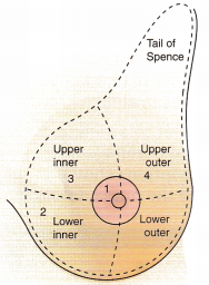 Reproductive Health Problems NCLEX Questions with Rationale 1