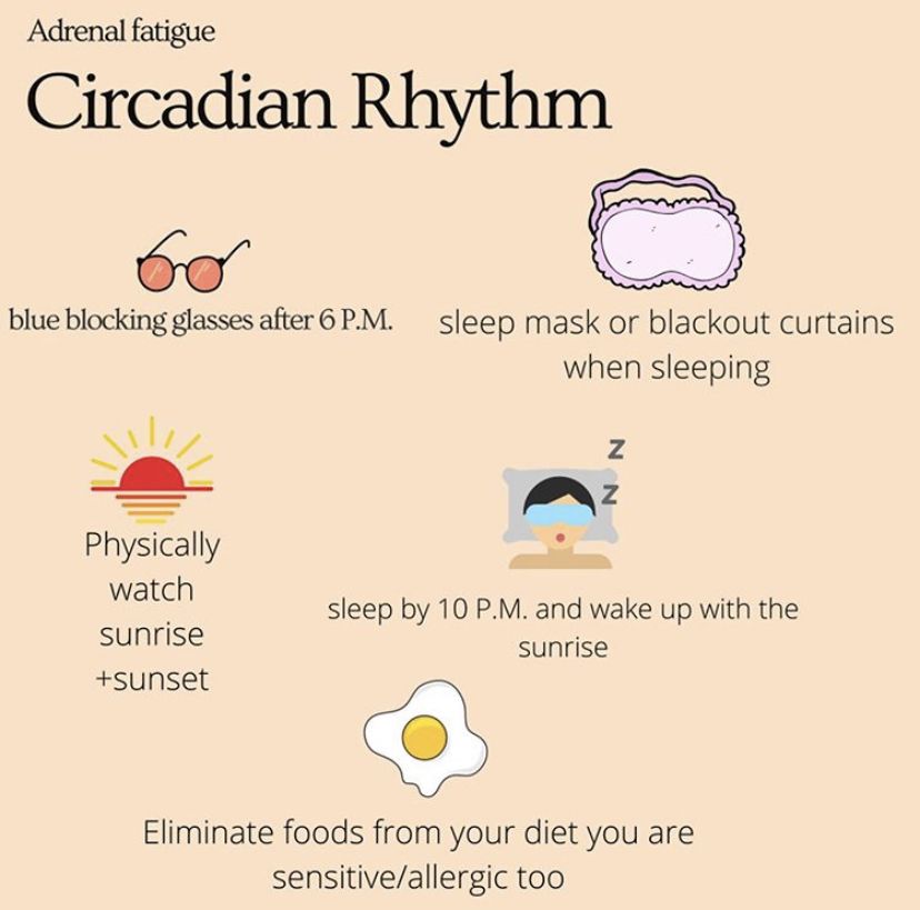 circadian rhythm