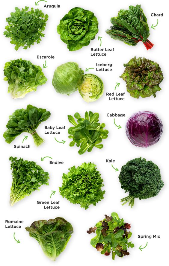Green Leafy vegetables contain potassium