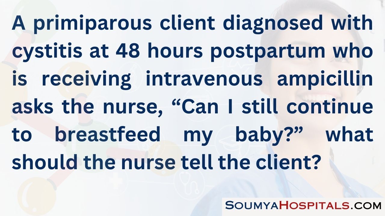 A primiparous client diagnosed with cystitis at 48 hours postpartum who is receiving intravenous ampicillin