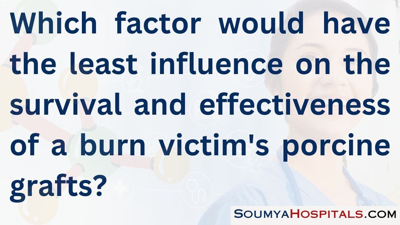 Which factor would have the least influence on the survival and effectiveness of a burn victim's porcine grafts