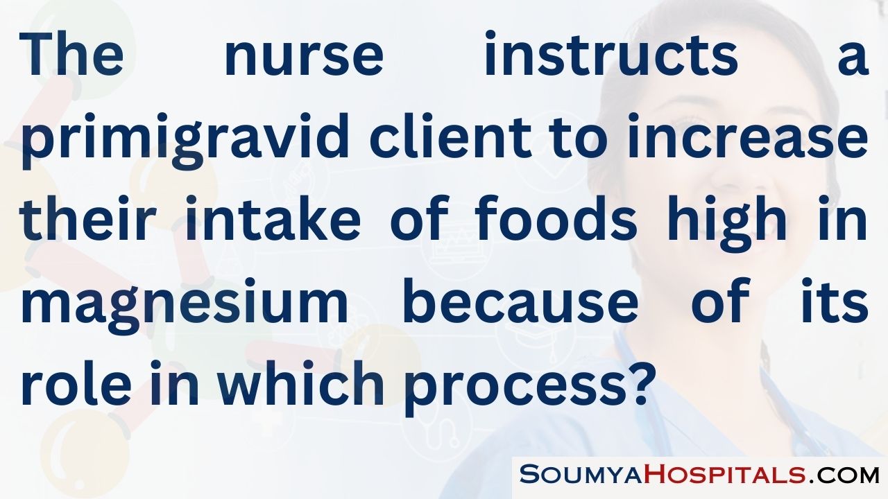 The nurse instructs a primigravid client to increase their intake of foods high in magnesium because of its role in which process