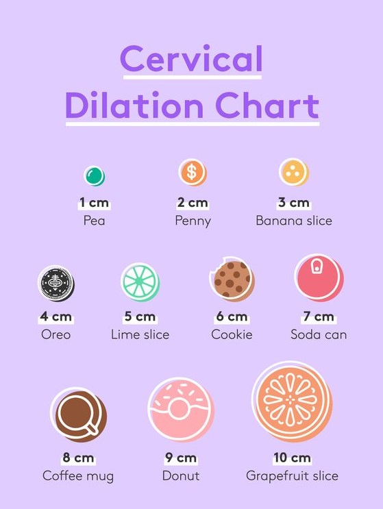 6 Benefits Of Ashwagandha For Female Fertility And Pregnancy