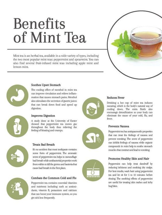 having-mint-during-pregnancy-pros-and-cons-you-should-be-aware-of