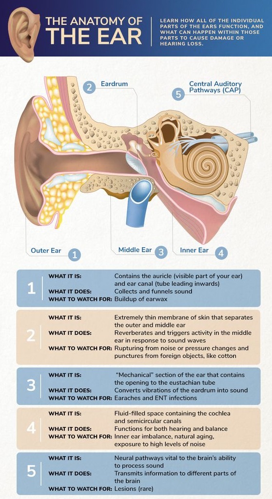 what-you-need-to-know-about-that-lump-behind-your-ear-soumyahospitals