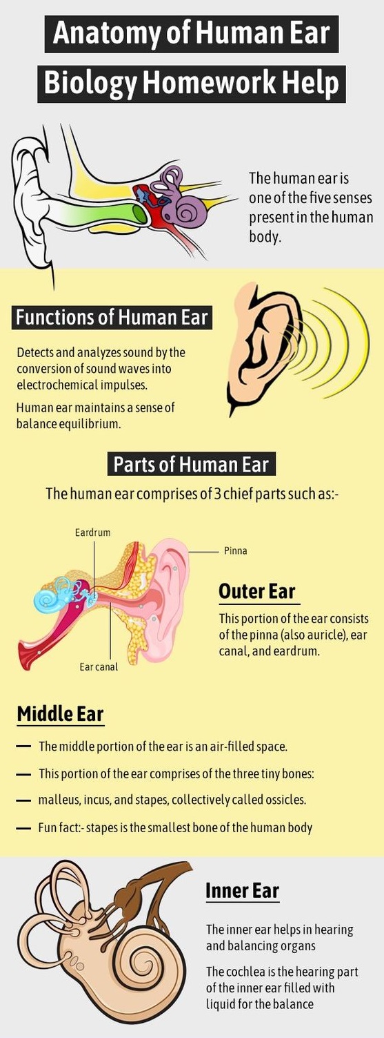 lump-behind-ear-keeps-coming-back-at-robin-horvath-blog