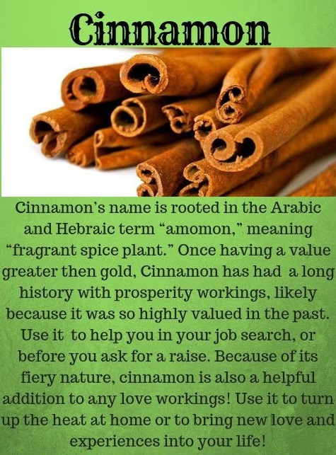 Is It Safe To Have Cinnamon During Pregnancy? - Soumyahospitals.com