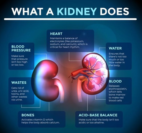 10 Natural Remedies To Prevent And Treat Kidney Stones ...