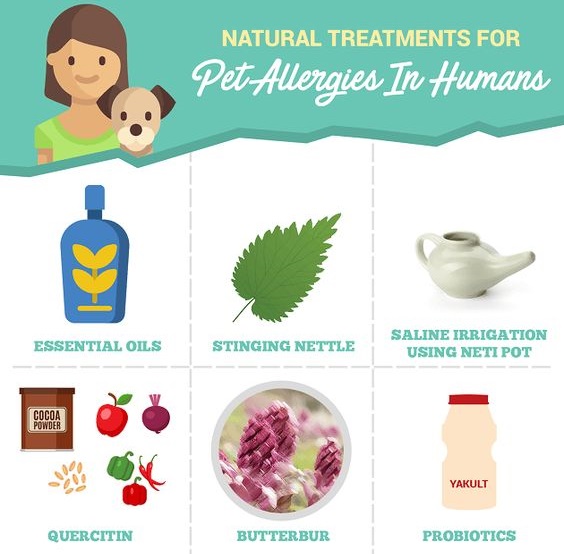 6-natural-treatments-for-pet-allergies-in-humans-soumyahospitals