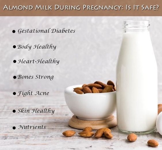 5 ScienceBacked Health Benefits Of Almonds During Pregnancy