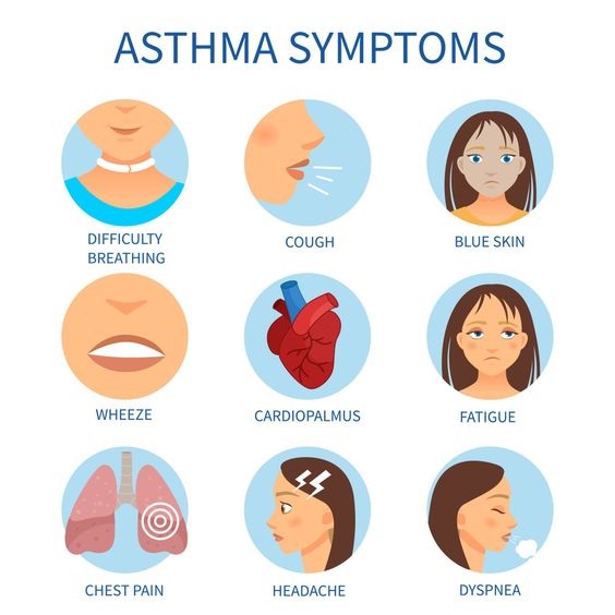 Asthma During Pregnancy: Things You Should Know As You Plan A Baby ...