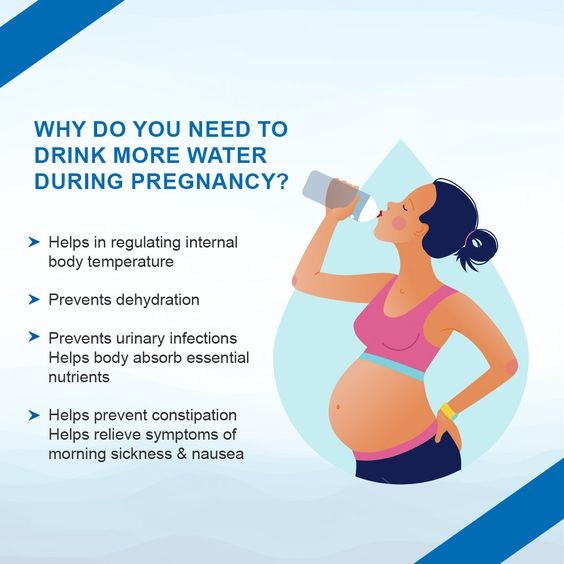 Why do you need drink water during pregnancy