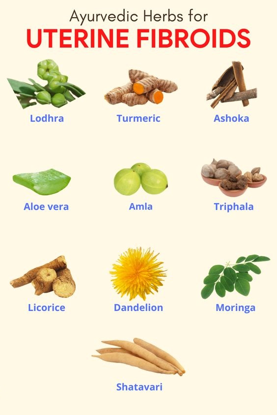 Uterine Fibroids Ayurvedic Treatment