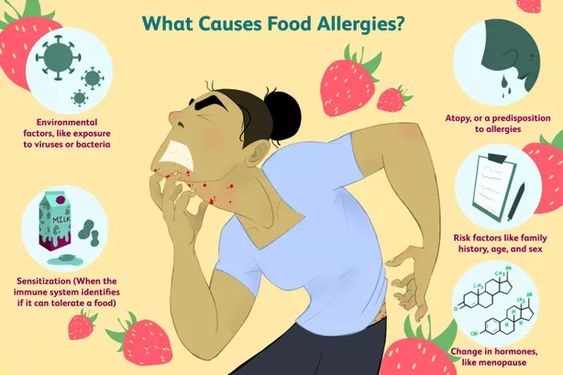 What Causes a Food Allergy