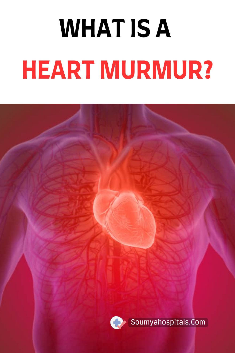 What Is A Heart Murmur?
