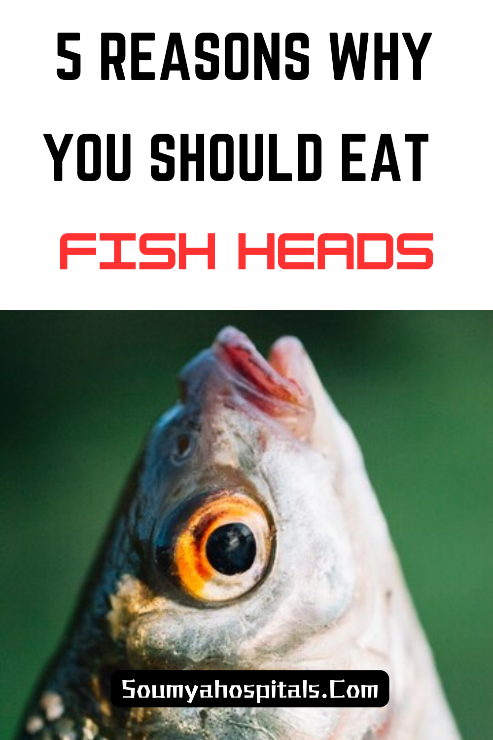 5 Reasons Why You Should Eat Fish Heads