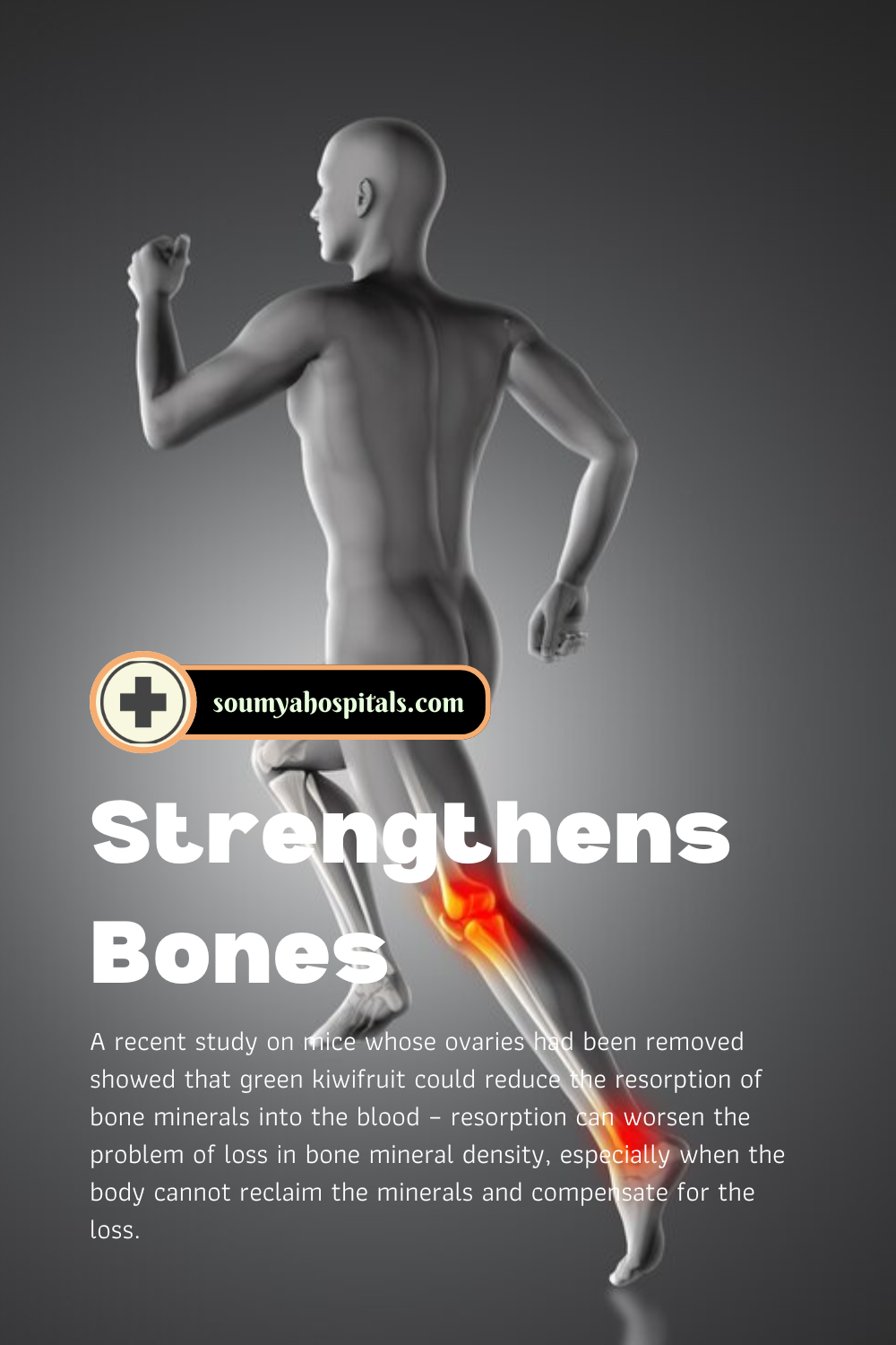 Strengthens Bones