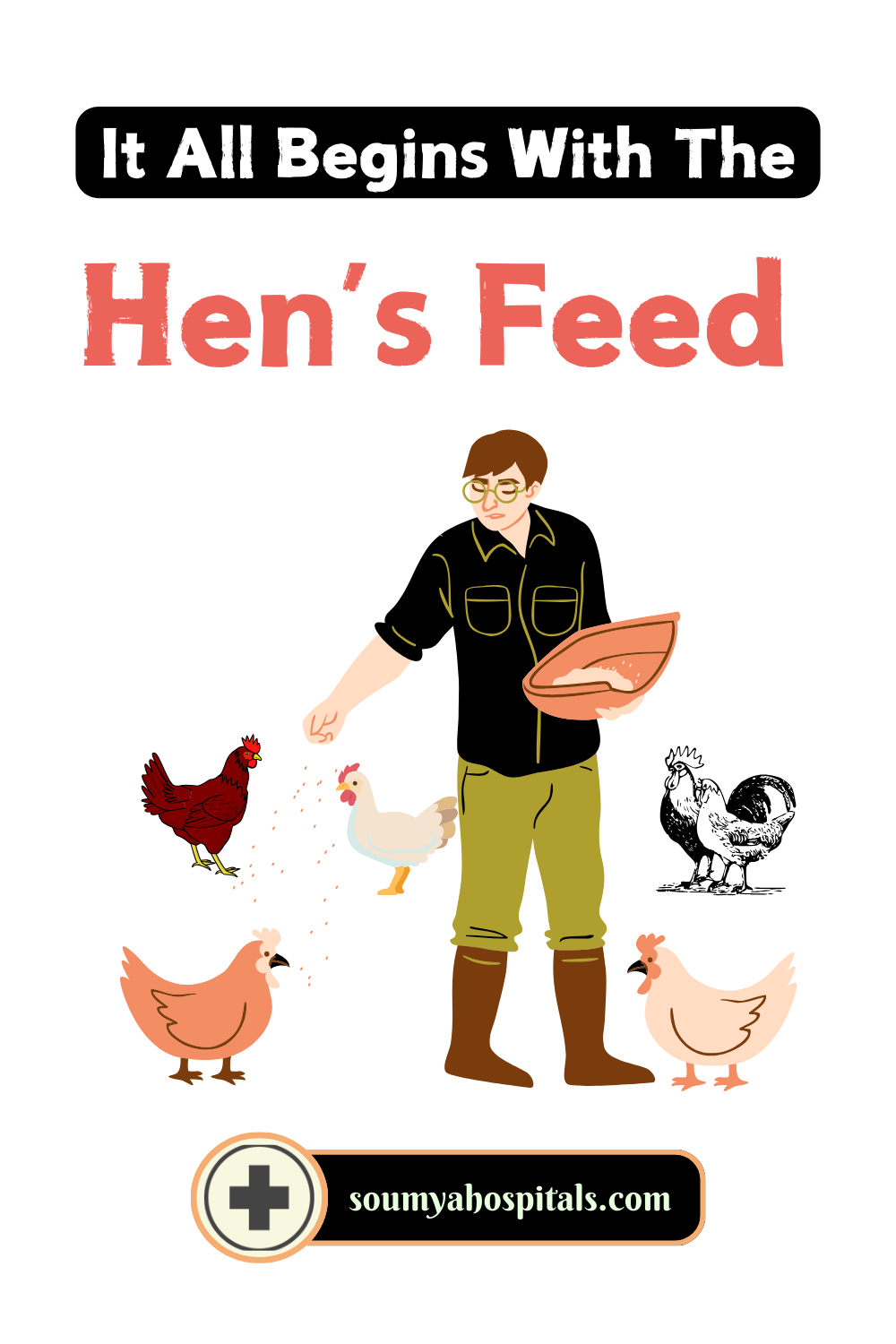 It all begins with Hen's feed