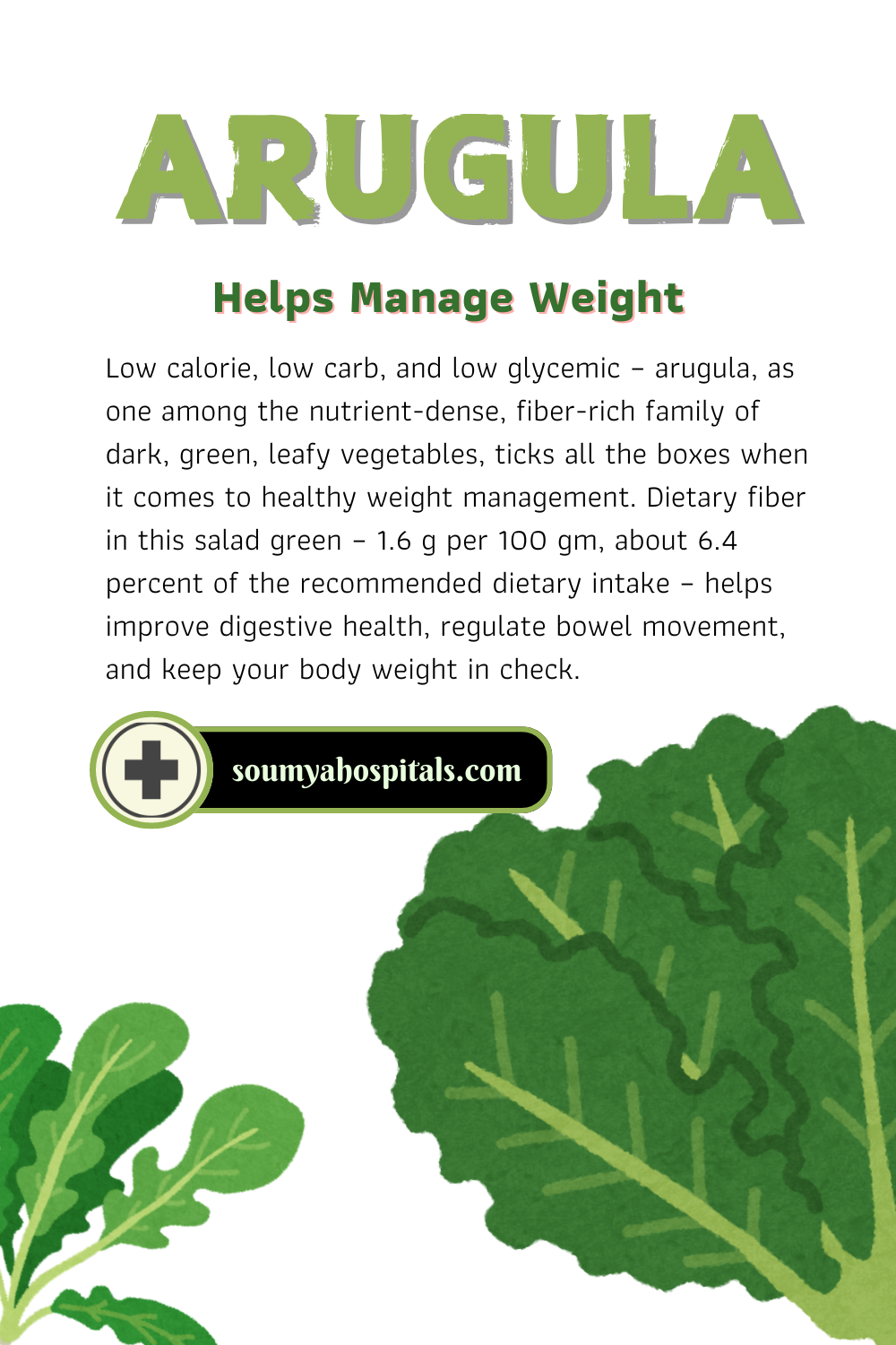 Arugula Helps Manage Weight