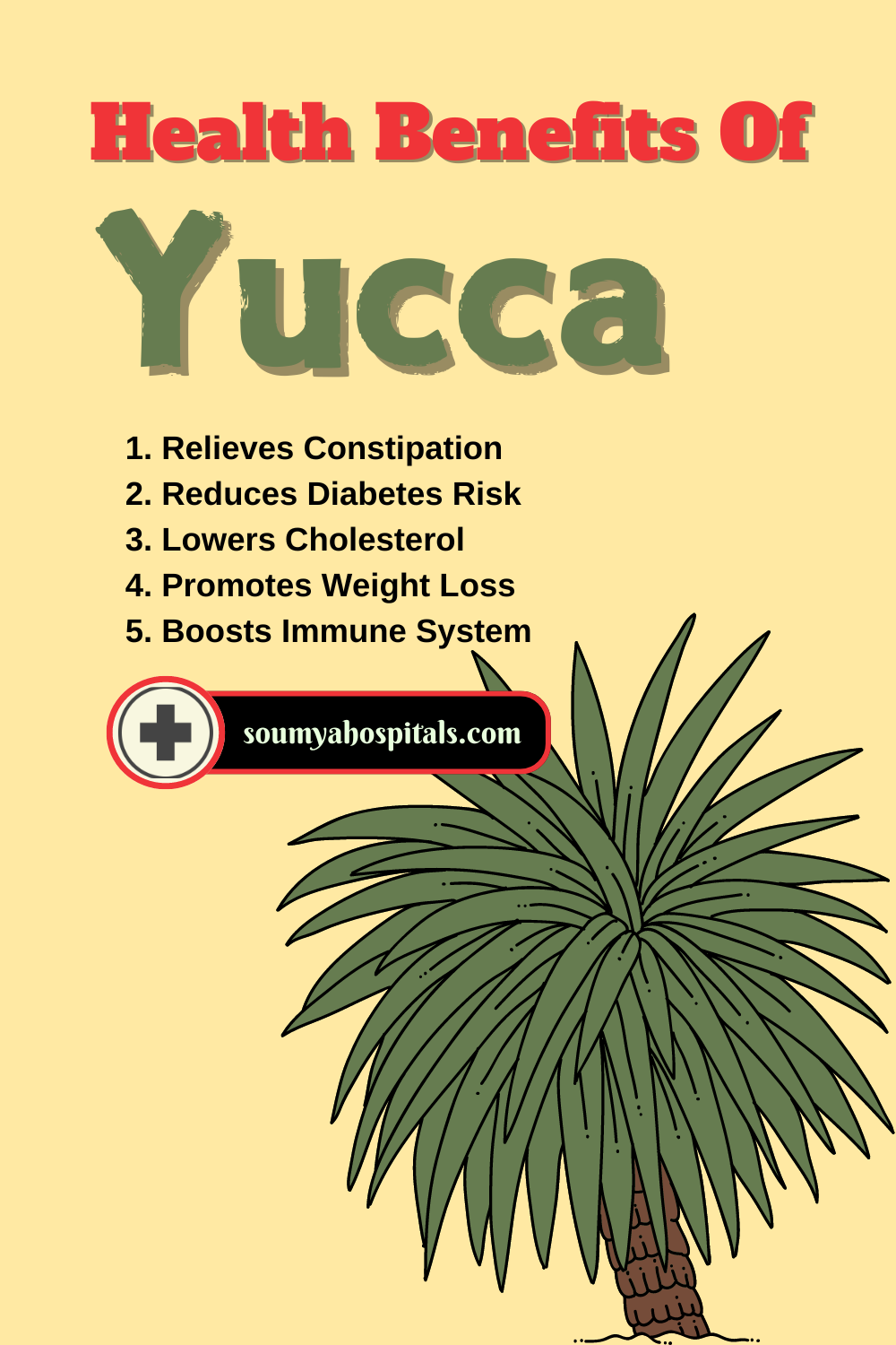 Health Benefits Of Yucca