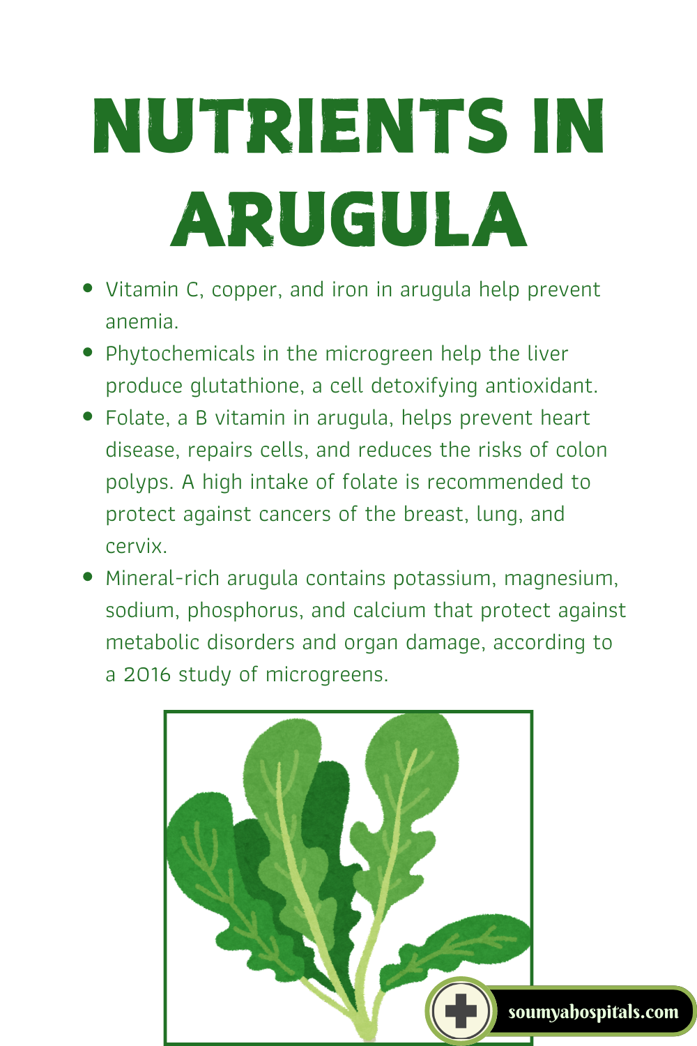 Nutrients In Arugula