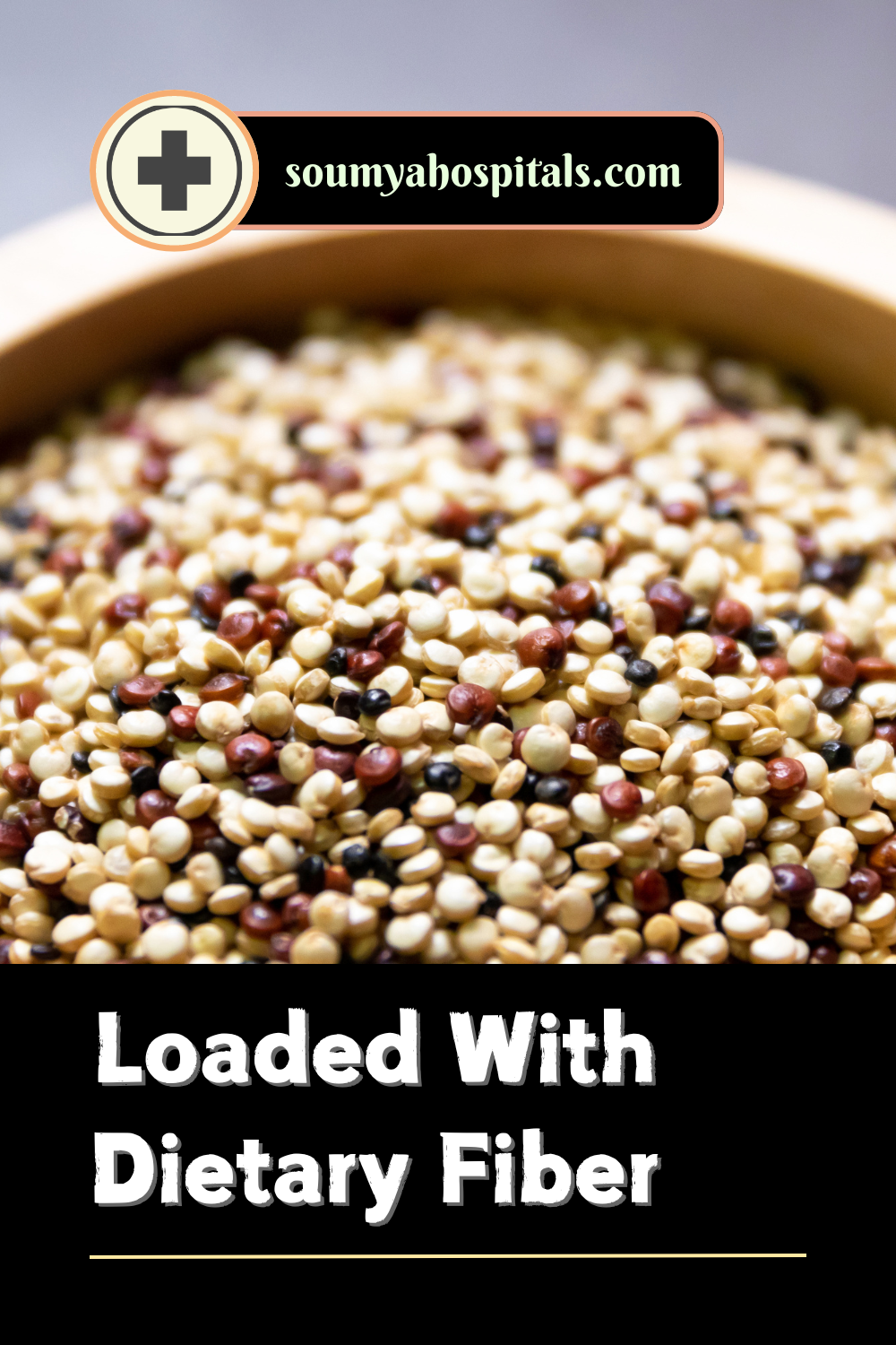 Loaded With Dietary Fiber