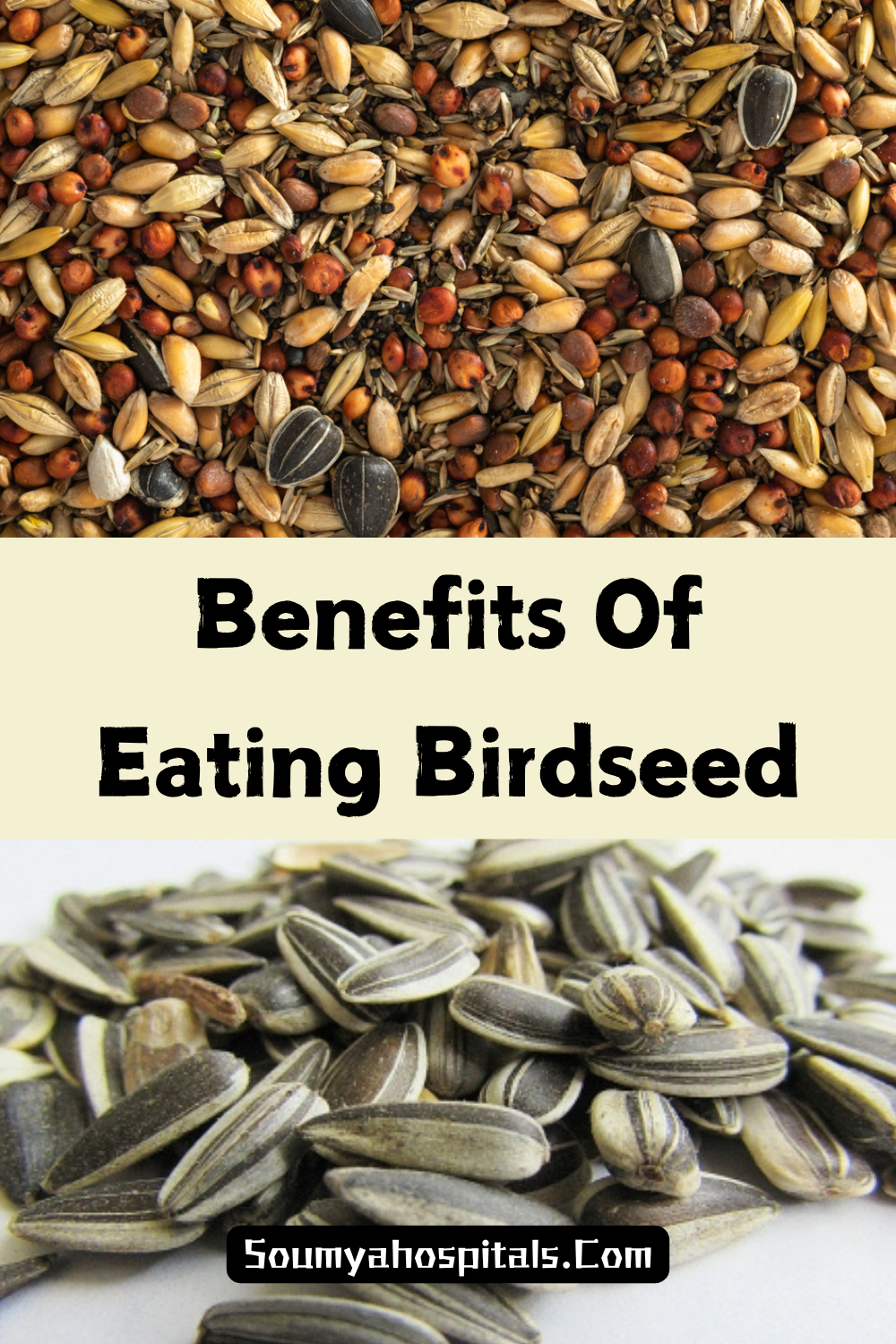 Benefits Of Eating Birdseed