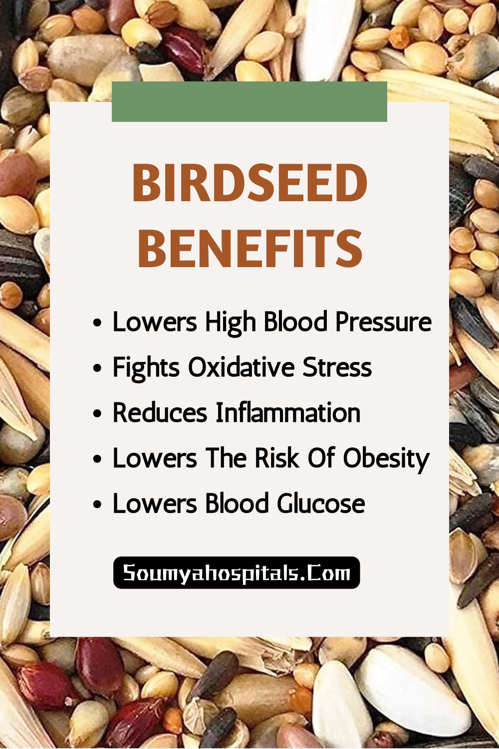 Birdseed Benefits