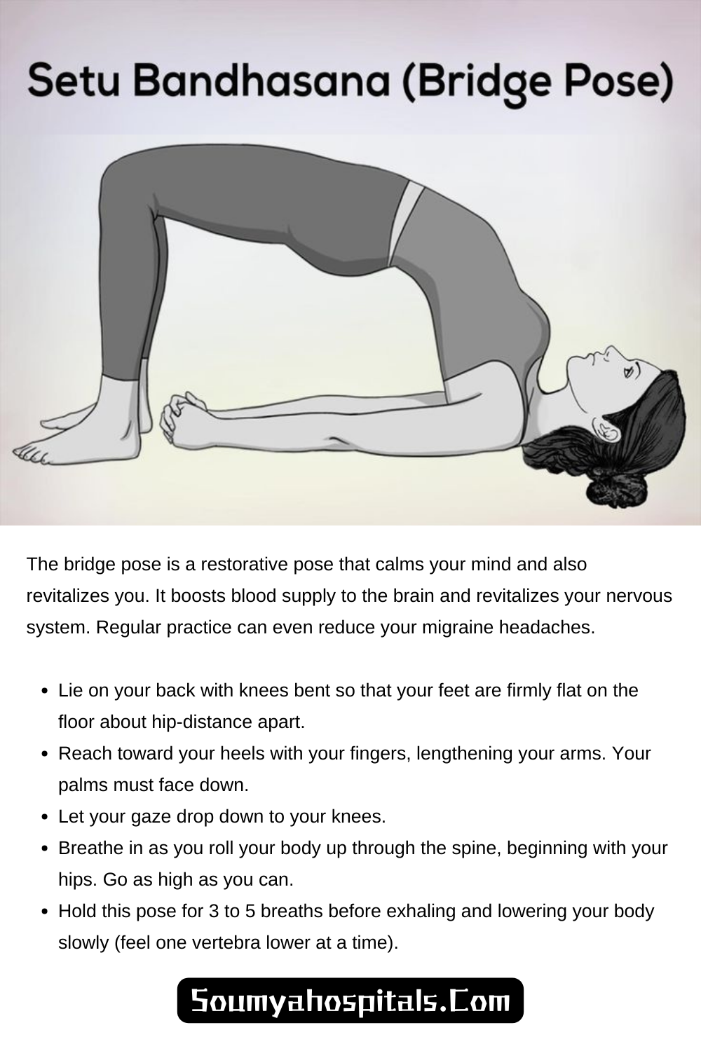 Setubandhasana Or Bridge Pose