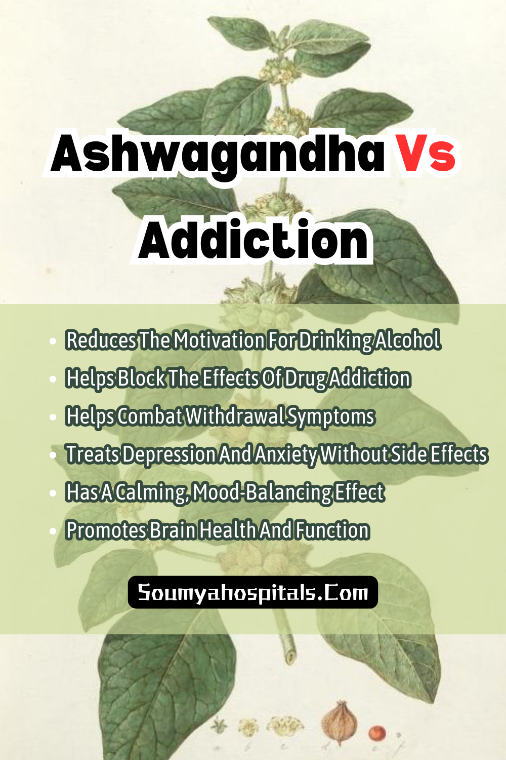 Ashwagandha Vs Addiction