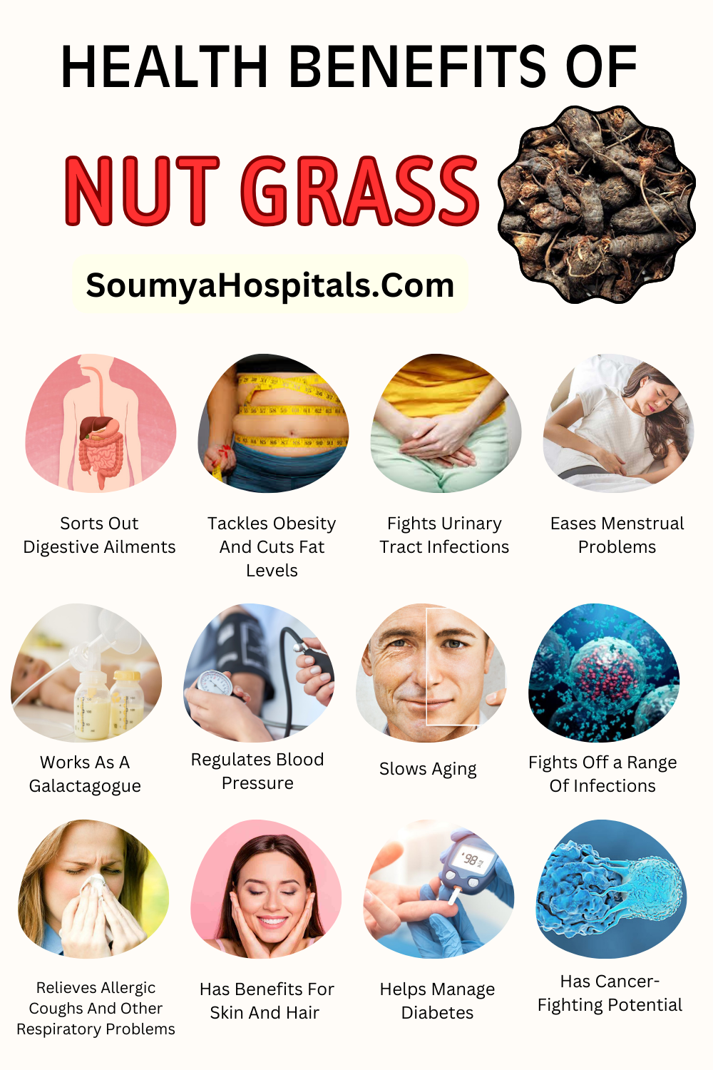 Health Benefits Of Nut Grass Or Musta