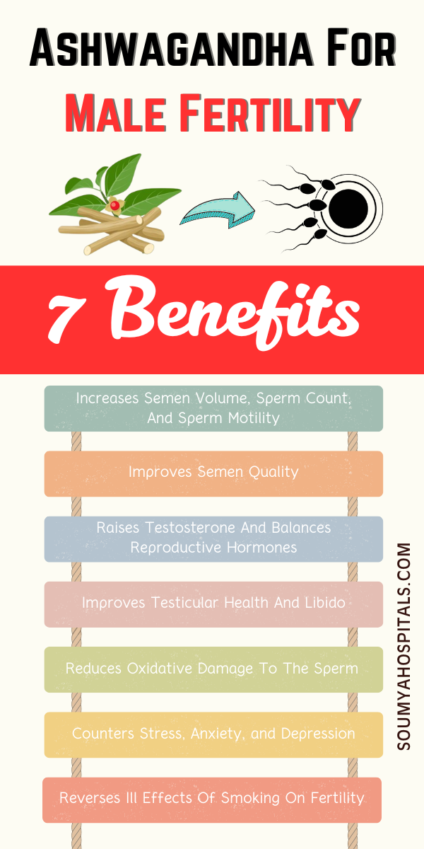 7 Benefits Of Ashwagandha For Male Fertility