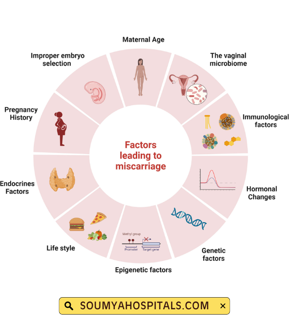 Risk Factors of Miscarriage