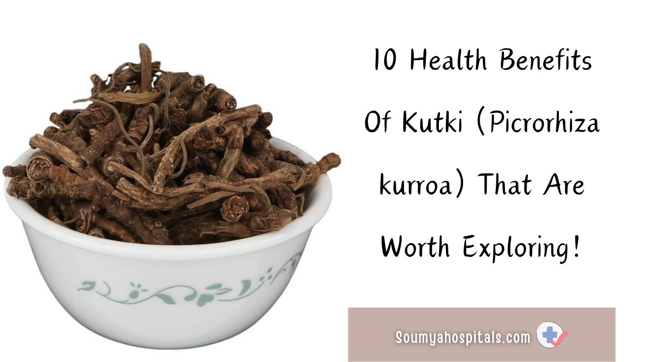 10_Health_Benefits_Of_Kutki_Picrorhiza_kurroa_That_Are_Worth_Exploring