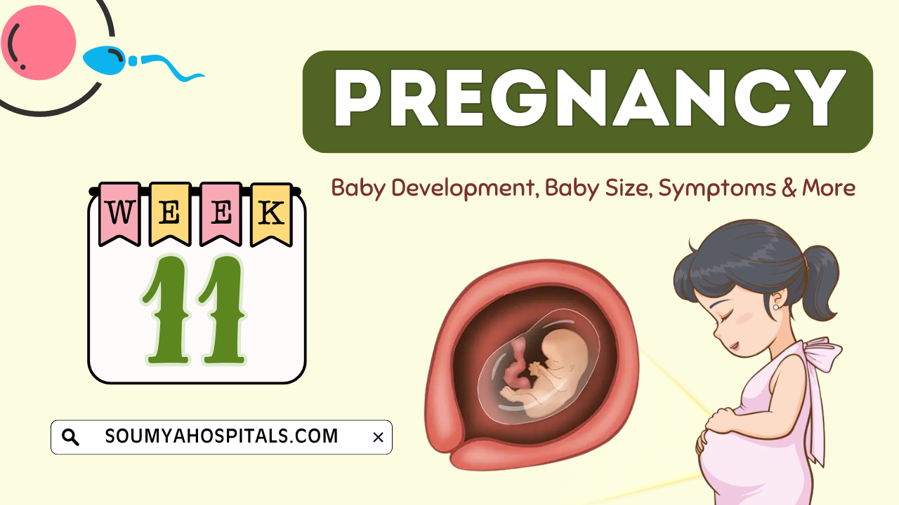 11 Weeks Pregnancy: Baby Development, Baby Size, Symptoms and More