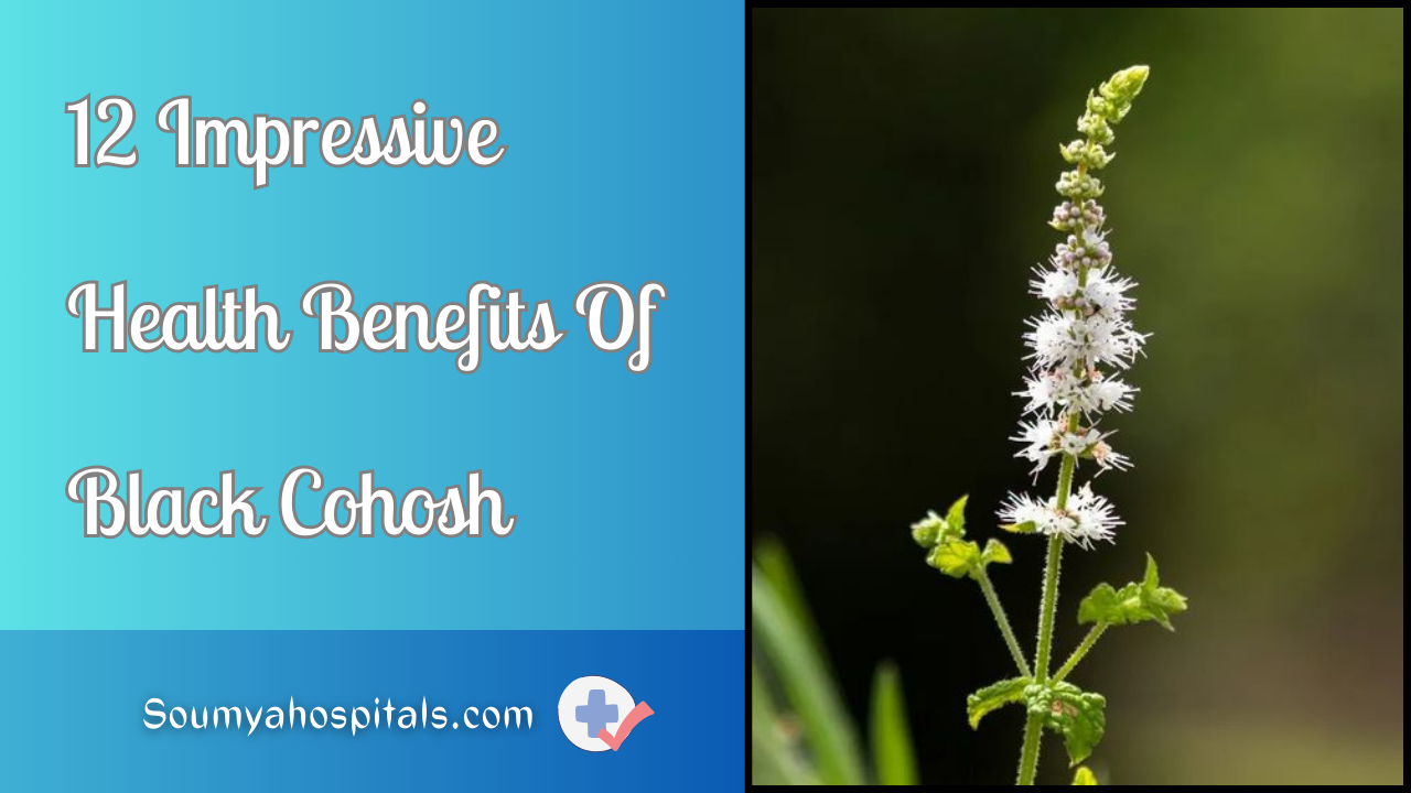 12 Impressive Health Benefits Of Black Cohosh