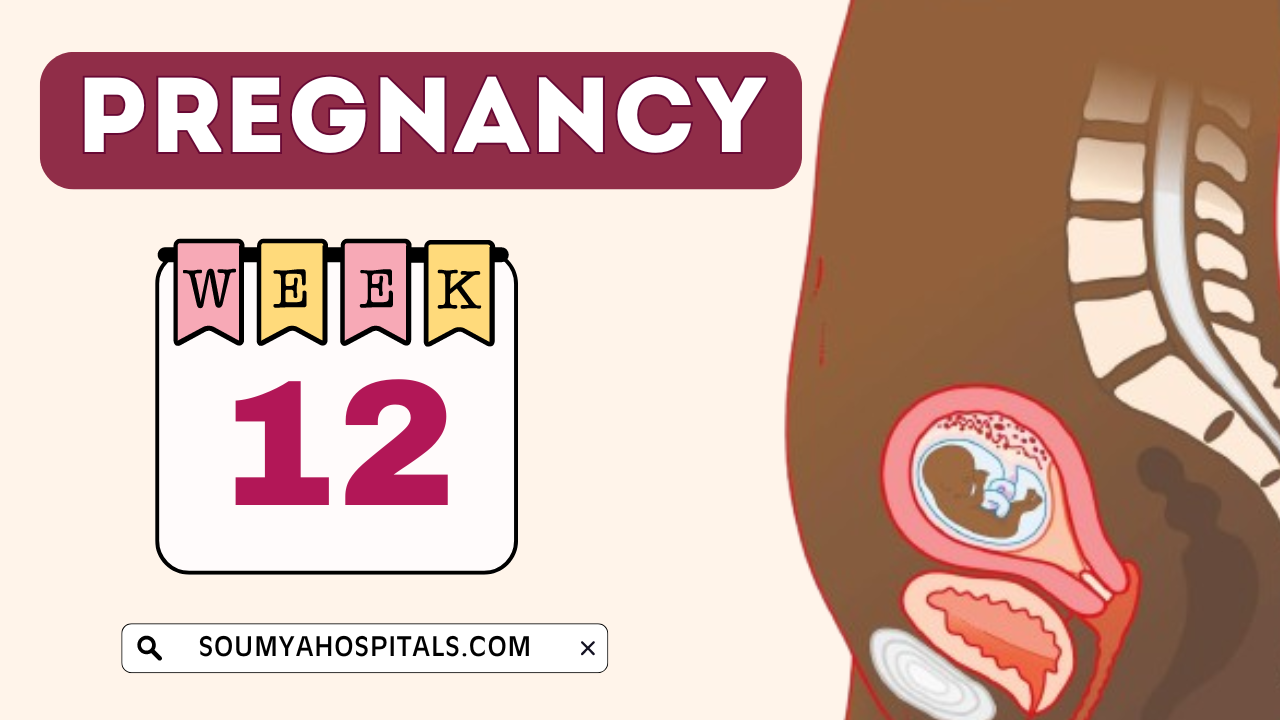 12_Weeks_Pregnancy_Baby_Development_Baby_Size_Symptoms_