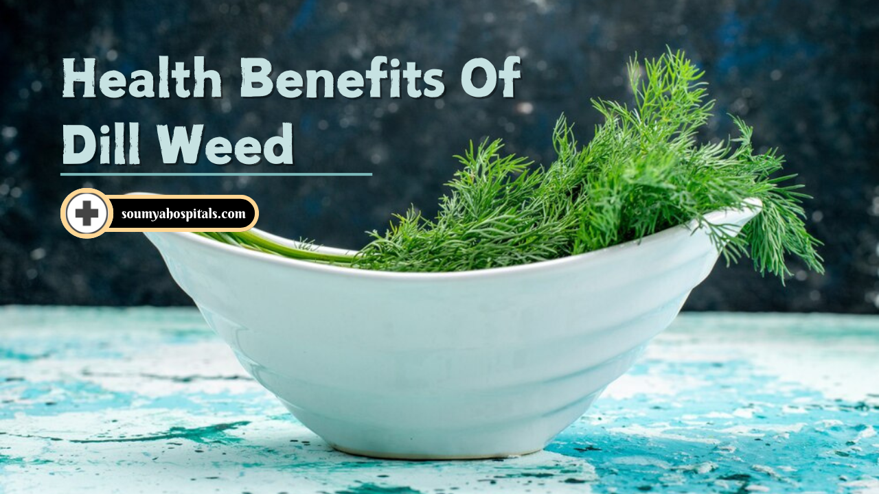 13 Amazing Health Benefits Of Dill Weed, Seed, And Dried Weed