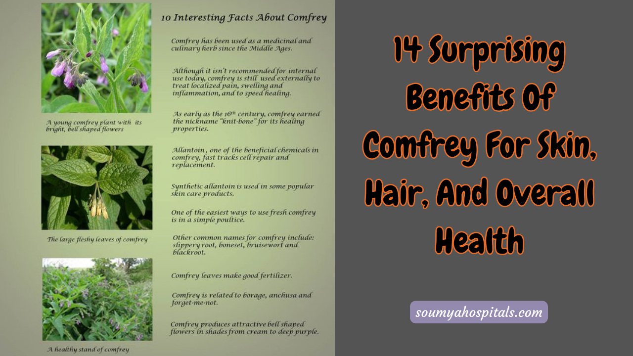 14 Surprising Benefits Of Comfrey For Skin, Hair, And Overall Health