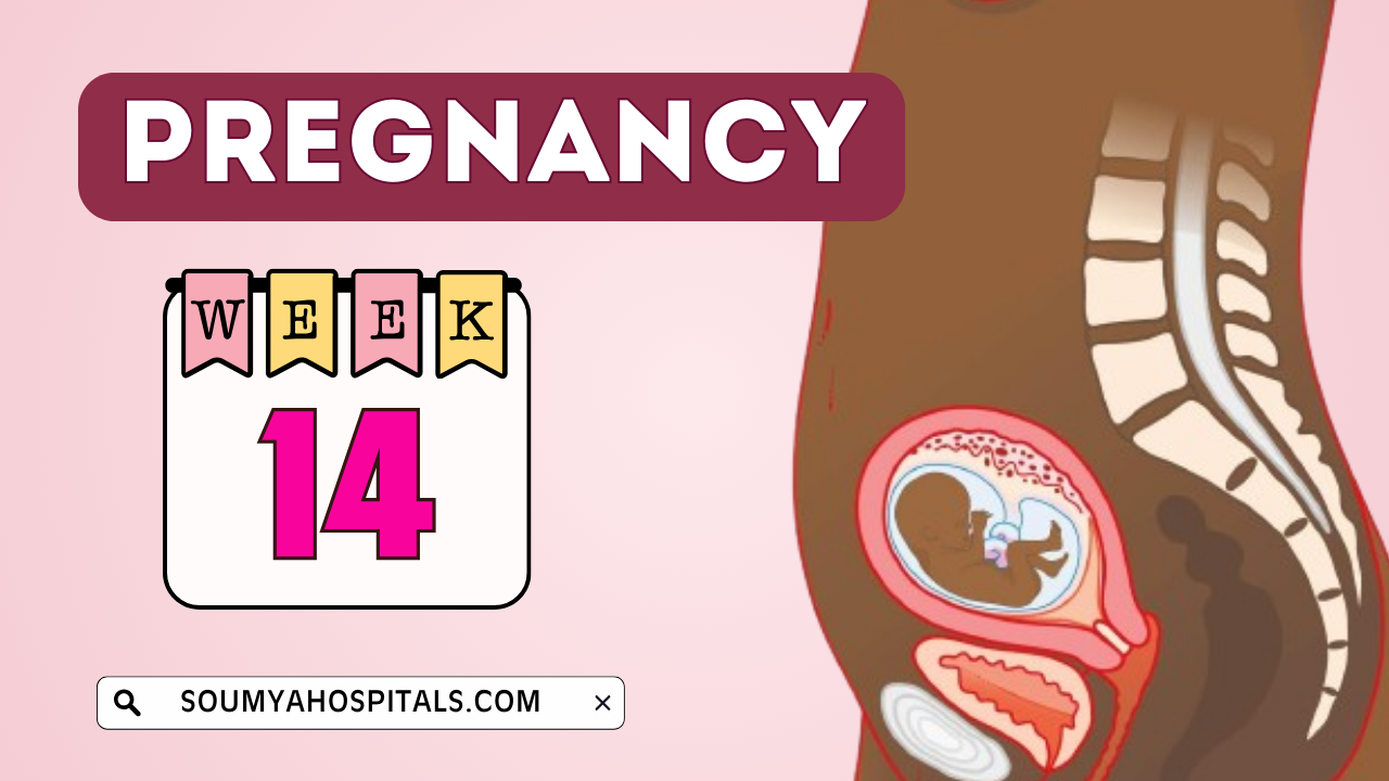 14 Weeks Pregnant - Your Body Changes, Fetal Developments, Sleeping Positions, and More