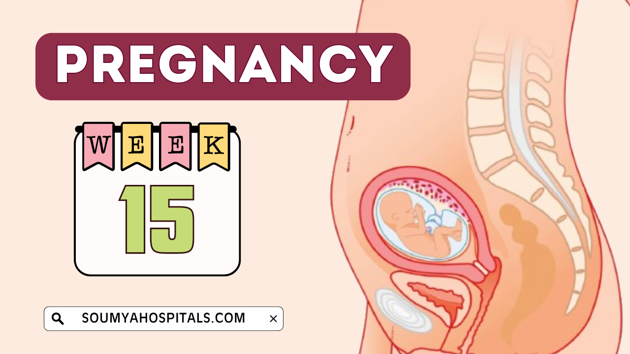 15 Weeks Pregnant Baby Bump, Symptoms, Ultrasound, Baby Size, Developments, and More