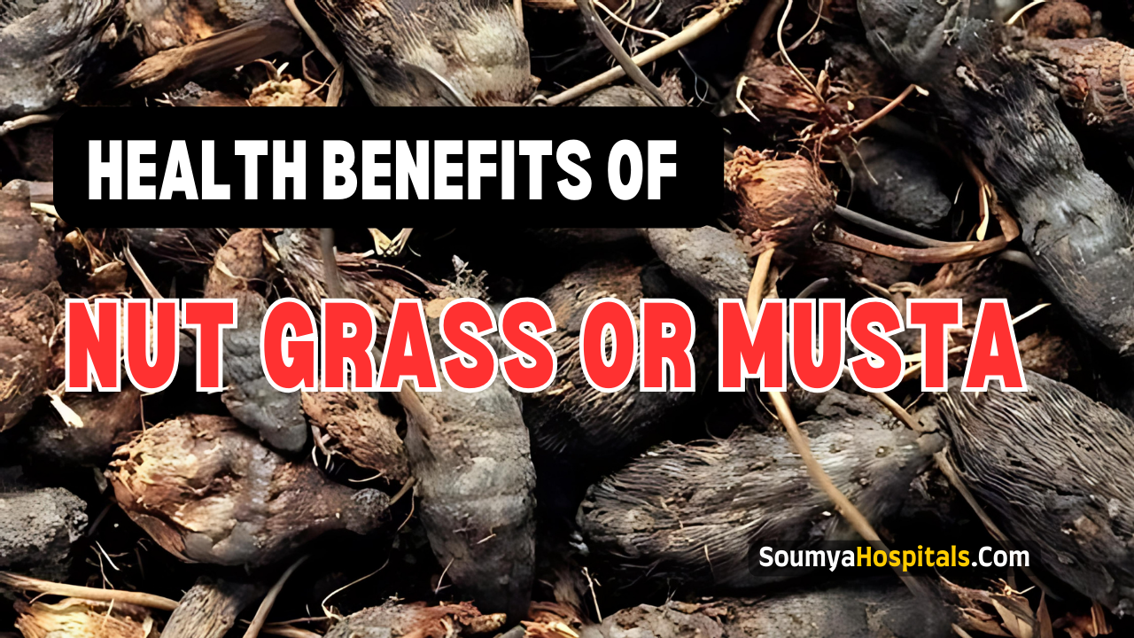 16_Health_Benefits_Of_Nut_Grass_Or_Musta_Cyperus_rotundus