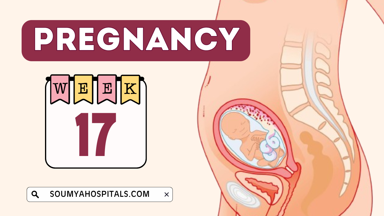 17_Weeks_of_Pregnancy_Baby_Development_Size_Ultrasound_Scans_and_More