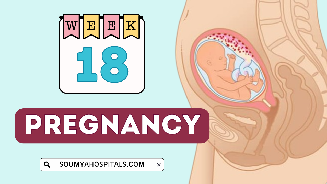 18 Weeks Pregnant: Symptoms, Tips, Baby Development, Your Body, and Pregnancy Diet