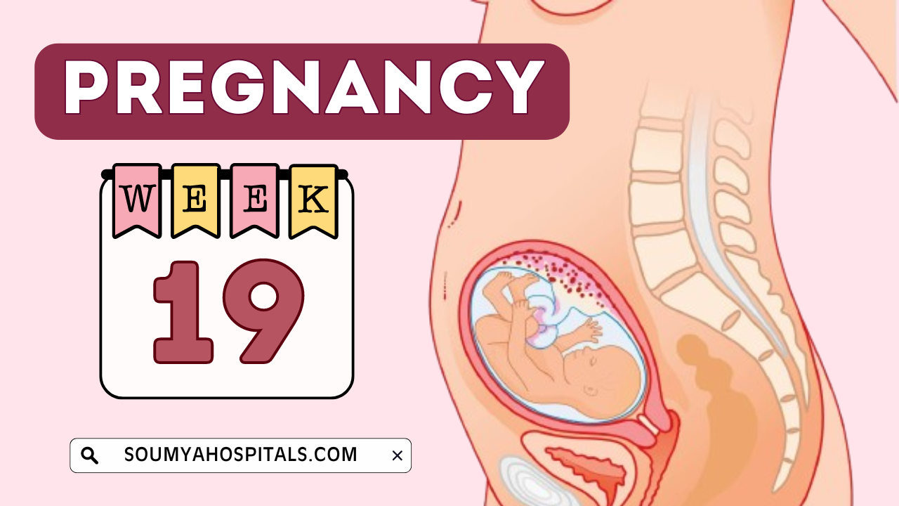 19 Weeks Pregnant: Symptoms, Baby Development, Your Body Changes, Diet, and Pelvic Pain