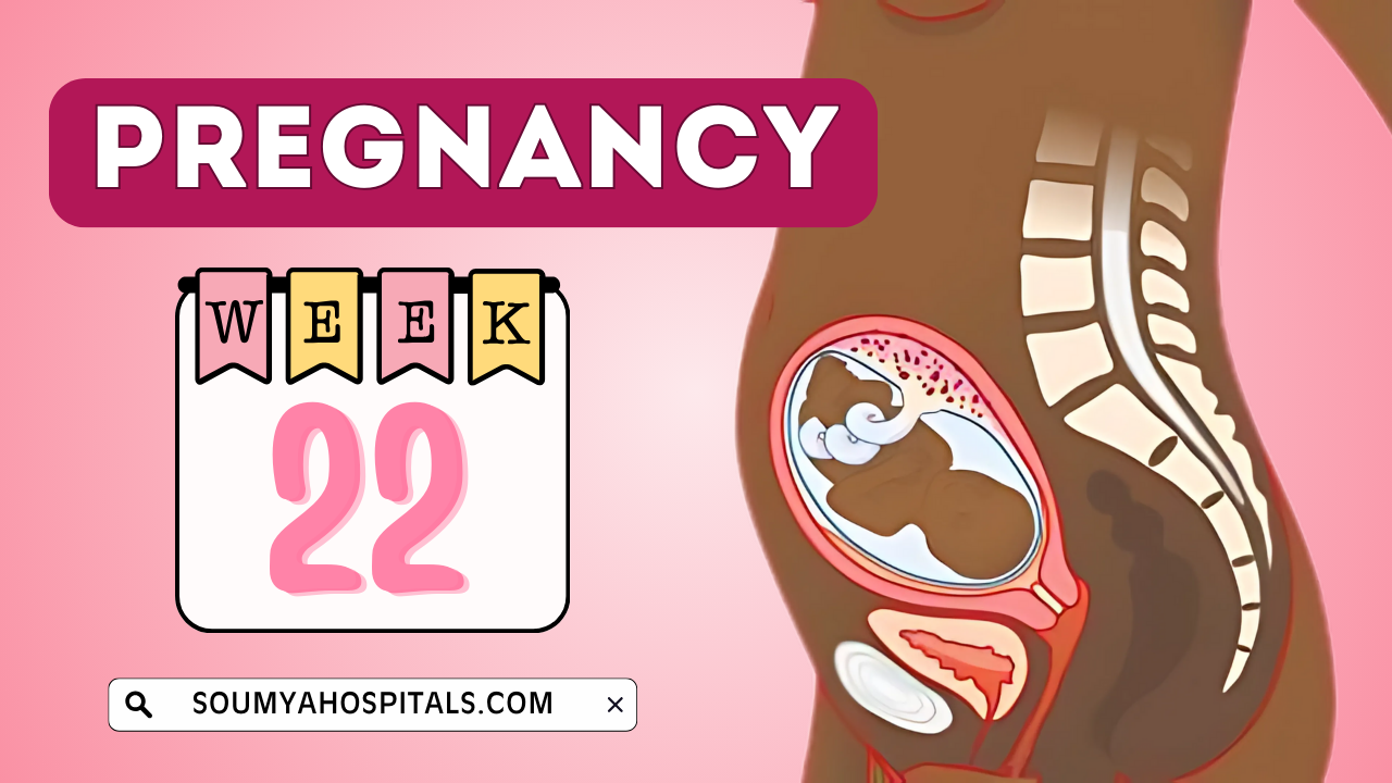 22 Weeks Pregnant: Pregnancy Week by Week Symptoms, Signs, Baby Development, Tips, and Your Body
