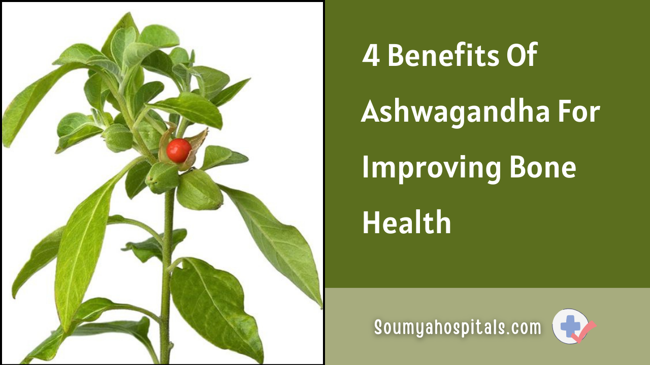 4_Benefits_Of_Ashwagandha_For_Improving_Bone_Health