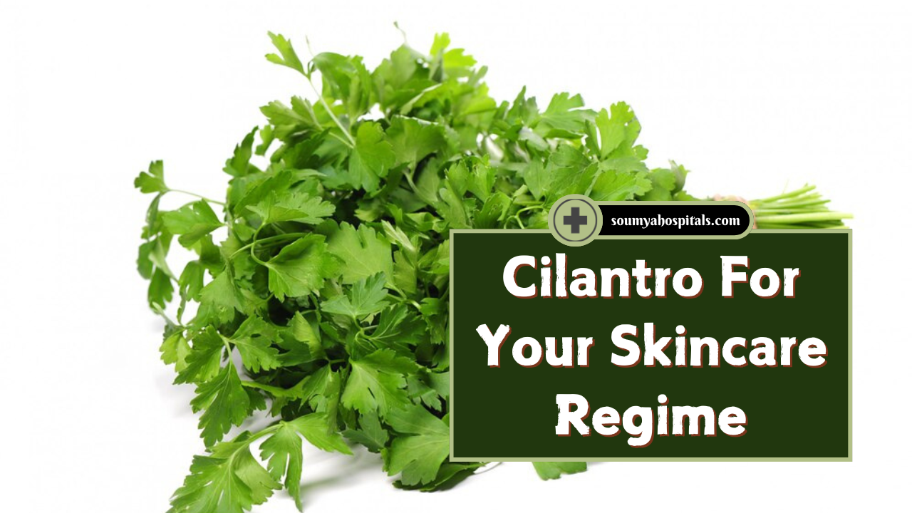 4 Simple Ways To Use Cilantro For Your Skincare Regime